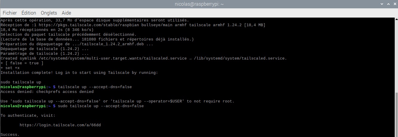 Screenshot of the terminal window showing the command to start tailscale