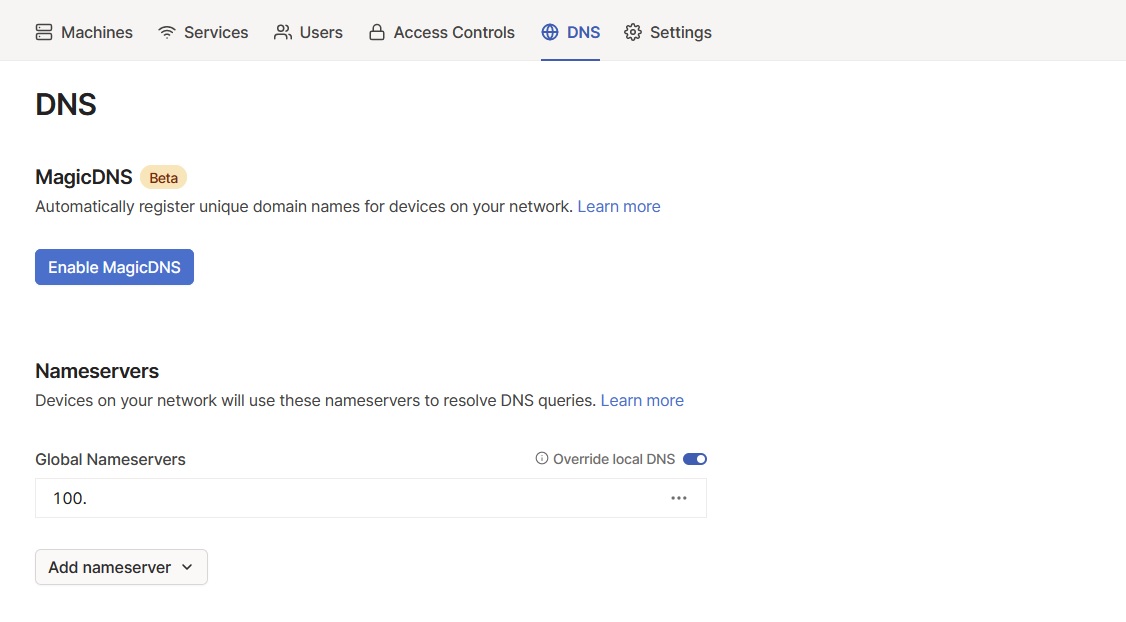 Screenshot of the DNS tab on the Tailscale admin dashboard